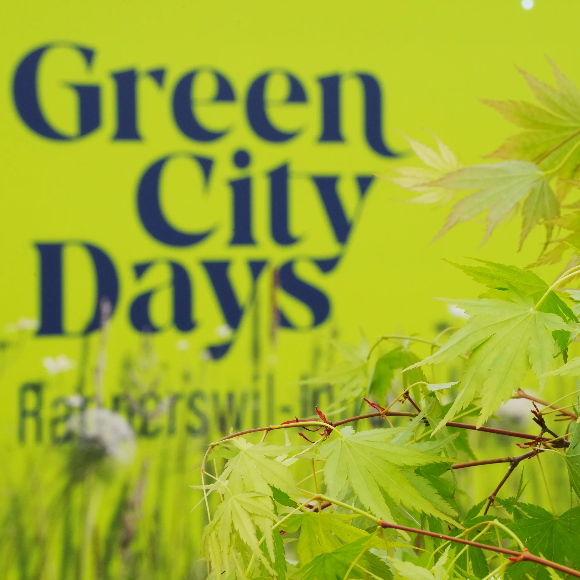 Green City Days